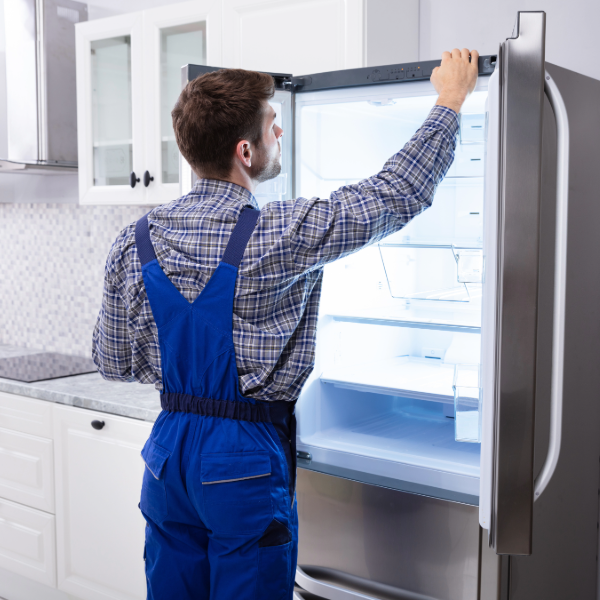 Double door (inverter) refrigerator checkup